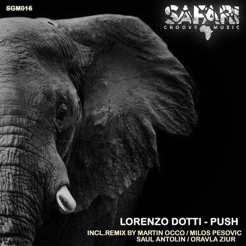 Push (Oravla Ziur Remix) cover art