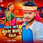 Pyar Kare Wala Bhatar Mile