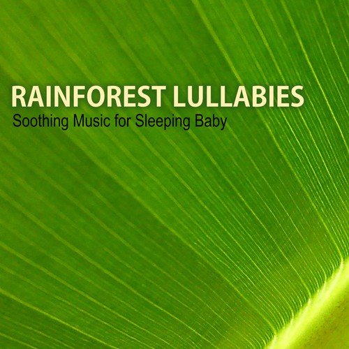 Rainforest Lullabies - Soothing Music for Sleeping Baby, Calm Sounds of Nature to Help Your Sleep, Songs for Babies and Toddlers