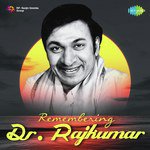 Remembering Dr. Rajkumar