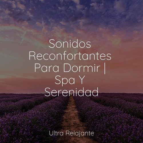 Sonidos Reconfortantes Para Dormir | Spa Y Serenidad