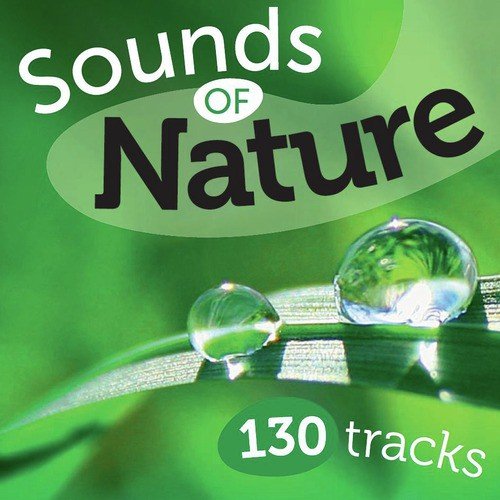 Sounds Of Nature (130 Tracks)