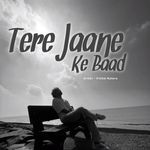 Tere Jaane Ke Baad