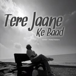 Tere Jaane Ke Baad