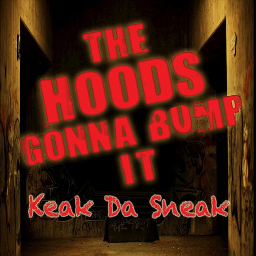 The Hoods Gonna Bump It