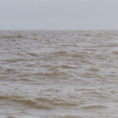 Wild Sea, Pt. 1 cover art