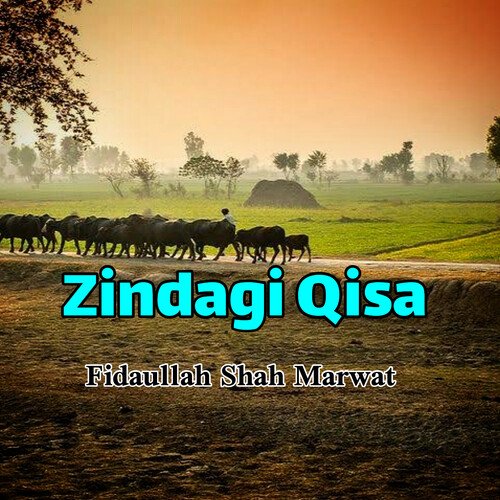 Zindagi Qisa