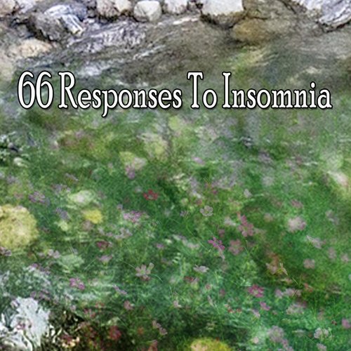 66 Responses To Insomnia