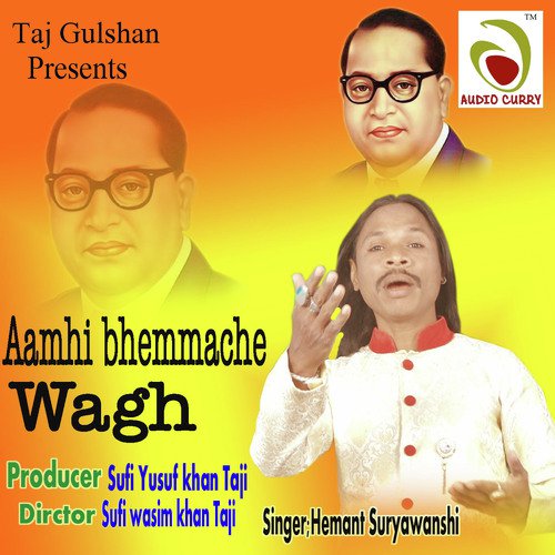 Aamhi Bhemmache Wagh_poster_image