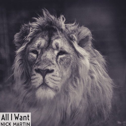 All I Want_poster_image