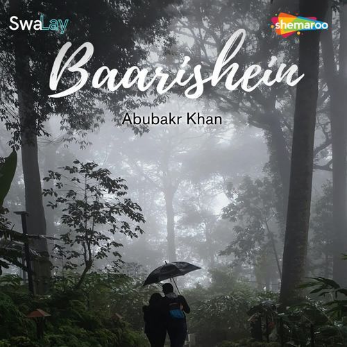 Baarishein