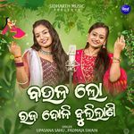 Baula Lo Raja Doli Jhulilani