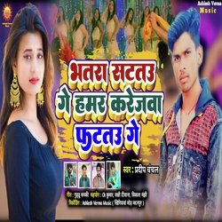 Bhatra Sat Tau Ge  Hamar Karejwa  Fat Tau Ge