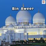 Bin Aweer