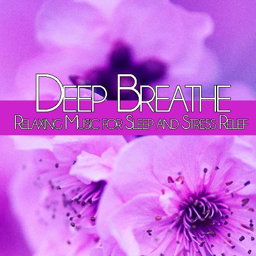 Guitar Delight cover art