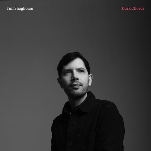 Harvest (feat. Vardan Ovsepian, Jonathan Richards & Dan Schnelle) cover art