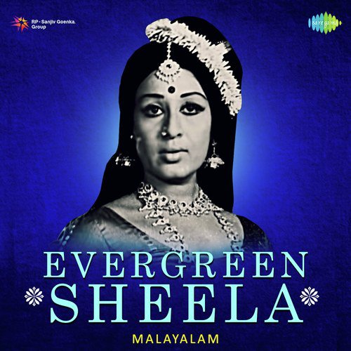 Evergreen Sheela
