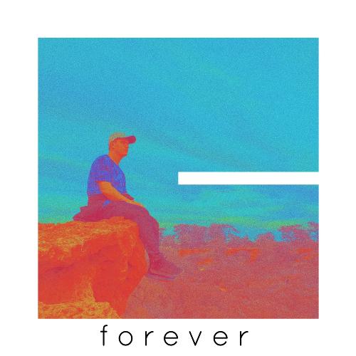 Forever_poster_image