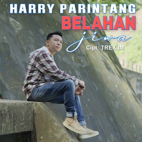 Harry Parintang - Belahan Jiwa