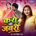 Karo Na Jabri