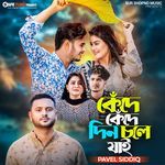 Kede Kede Din Chole Jai