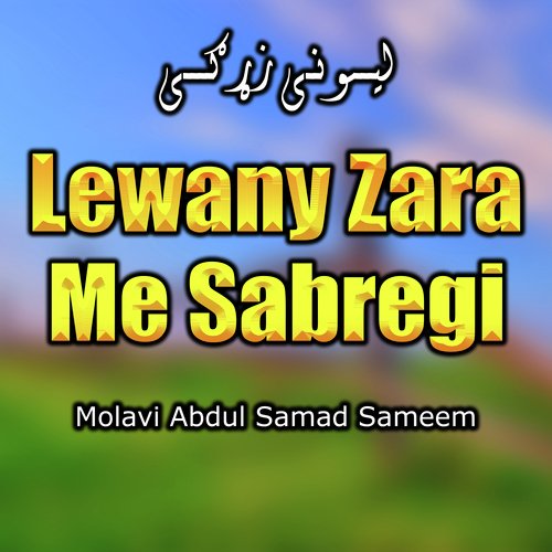 Lewany Zara Me Sabregi