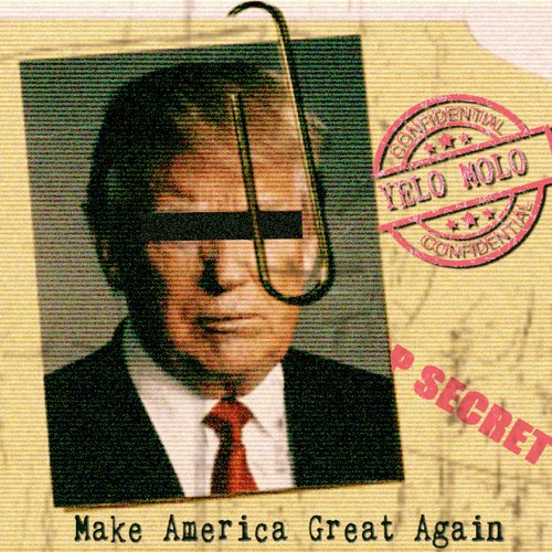 Make America Great Again_poster_image