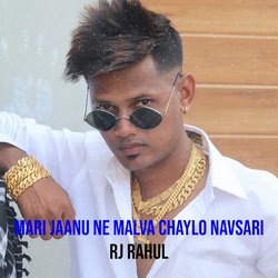 Mari Jaanu Ne Malva Chaylo Navsari-ID8DAx1VenU