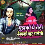 mujhko ye teri bewafai maar dalegi (HINDI SONG)