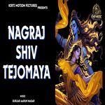 Nagraj Shiv Tejomaya artwork