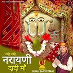 Namo Namo Narayani Dadi Maa