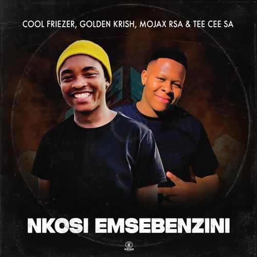 Nkosi Emsebenzini