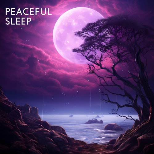 Sleep Drift Among the Stars cover art