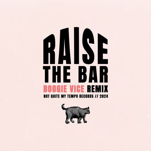 Raise the Bar (Boogie Vice Remix)_poster_image