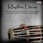 Pakhawaj   Teen Taal   16 Matra