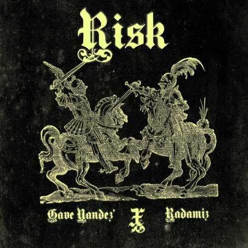 Risk (feat. Radamiz) cover art