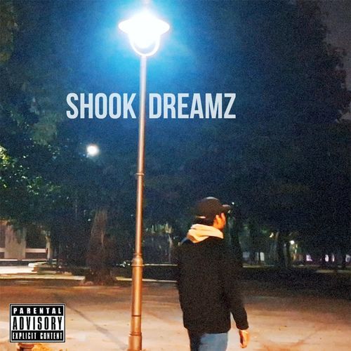 SHOOK DREAMZ