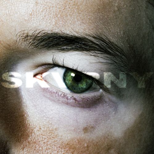 Ambice cover art