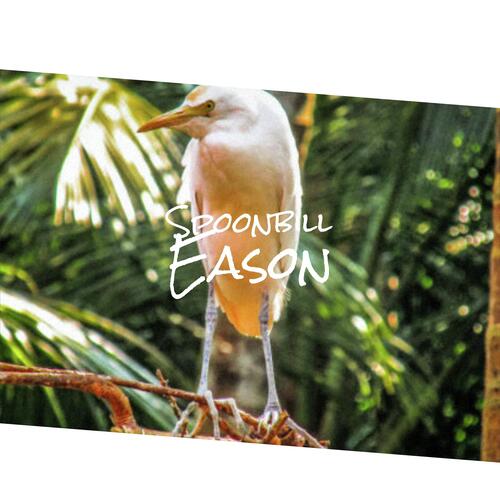 Spoonbill Eason cover art