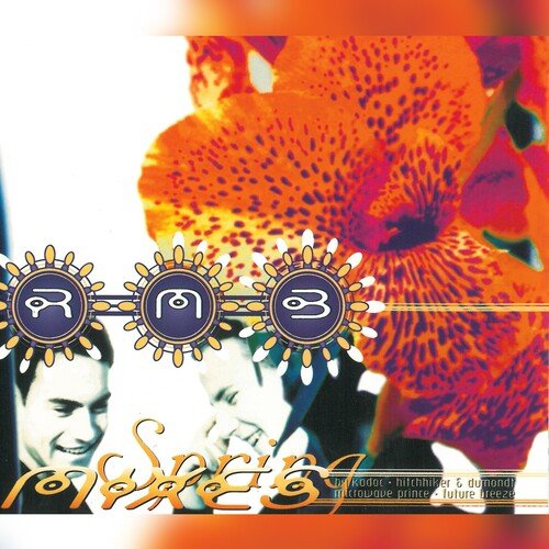 Spring (Future Breeze Remix) cover art