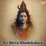 Sri Shiva Shadakshara