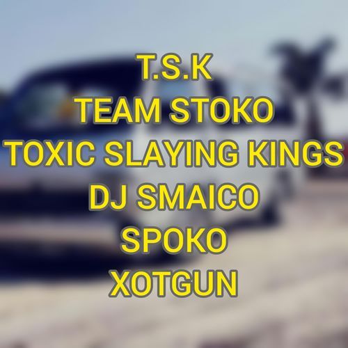 TOXIC SLAYING KINGS (TEAM STOKO)