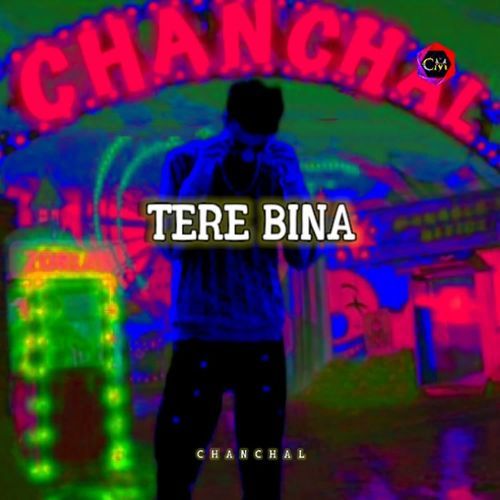Tere Bina
