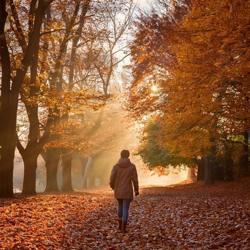 The Music Of Moments: Soundscapes For Every Day