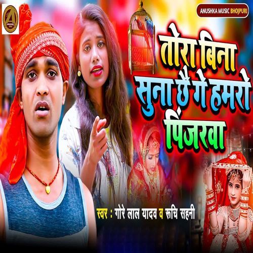 Tora Bina Suna Chhai Ge Hamro Pinjarva