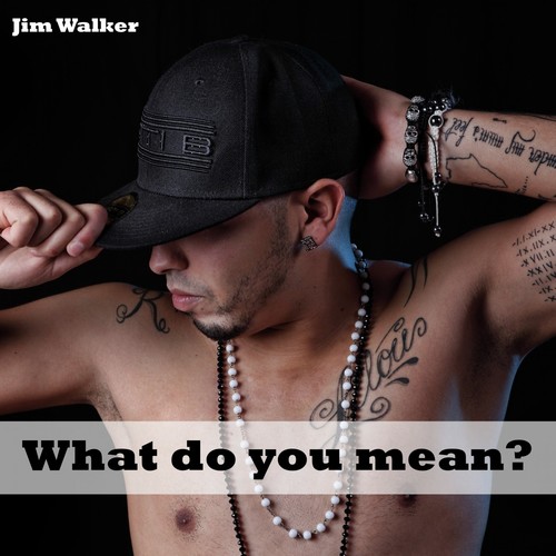 What Do You Mean?