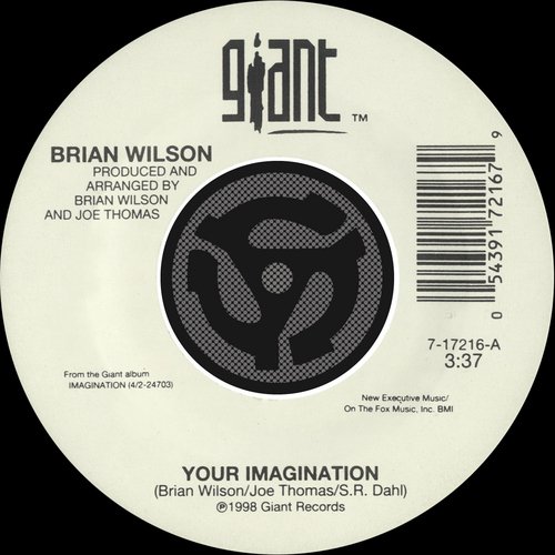 Your Imagination / Your Imagination (A Cappella) (45 Version)