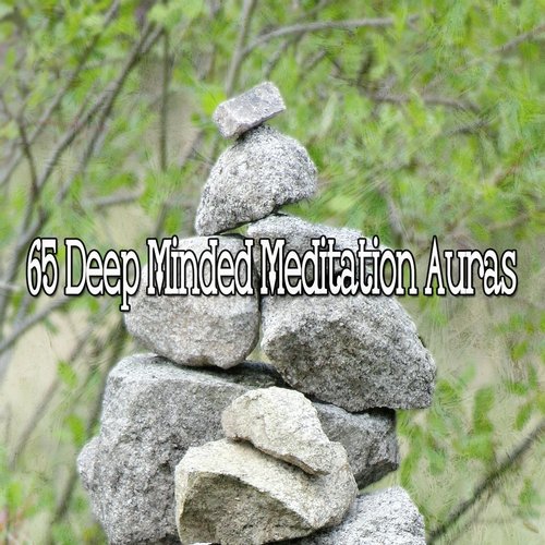 65 Deep Minded Meditation Auras