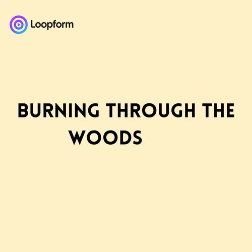Burning through the Woods