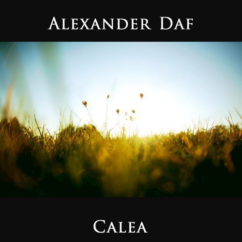 Alexander Daf